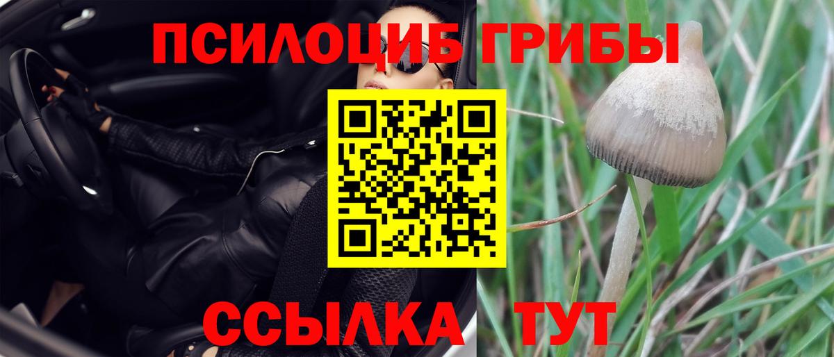 Галлюциногенные грибы ЛСД Пыть-Ях